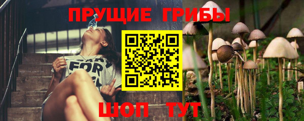Лыткарино  Галлюциногенные грибы GOLDEN TEACHER  Вход с VPN 